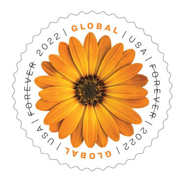 African Daisy 2020 - 100 International stamps