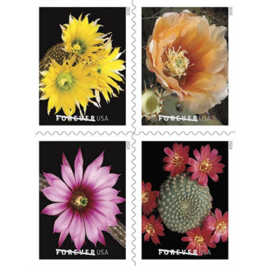 Cactus Flowers 2019 - Booklets of 100 stamps